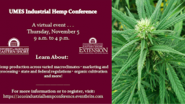 Have questions about hemp in Maryland?  Join us on November 5th for the second annual UMES Industrial Hemp Conference!