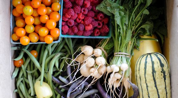 Box of assorted fruits and vegetables for a CSA share