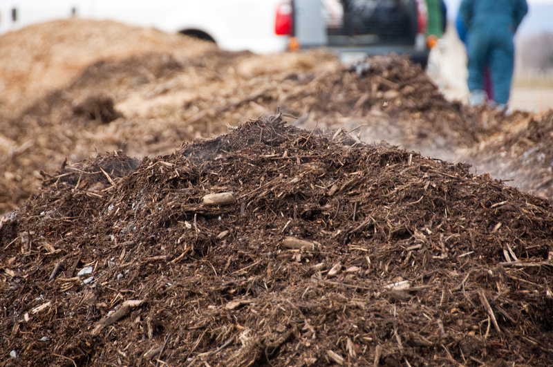 What To Know About Soil Amendments